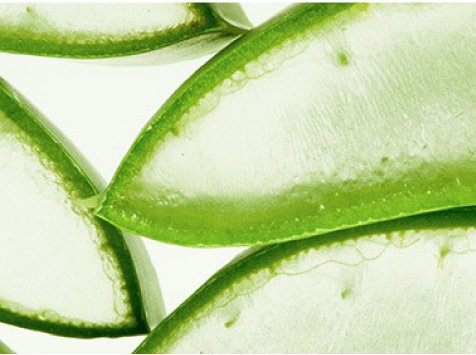 Hyaluronic Aloe mosaic
